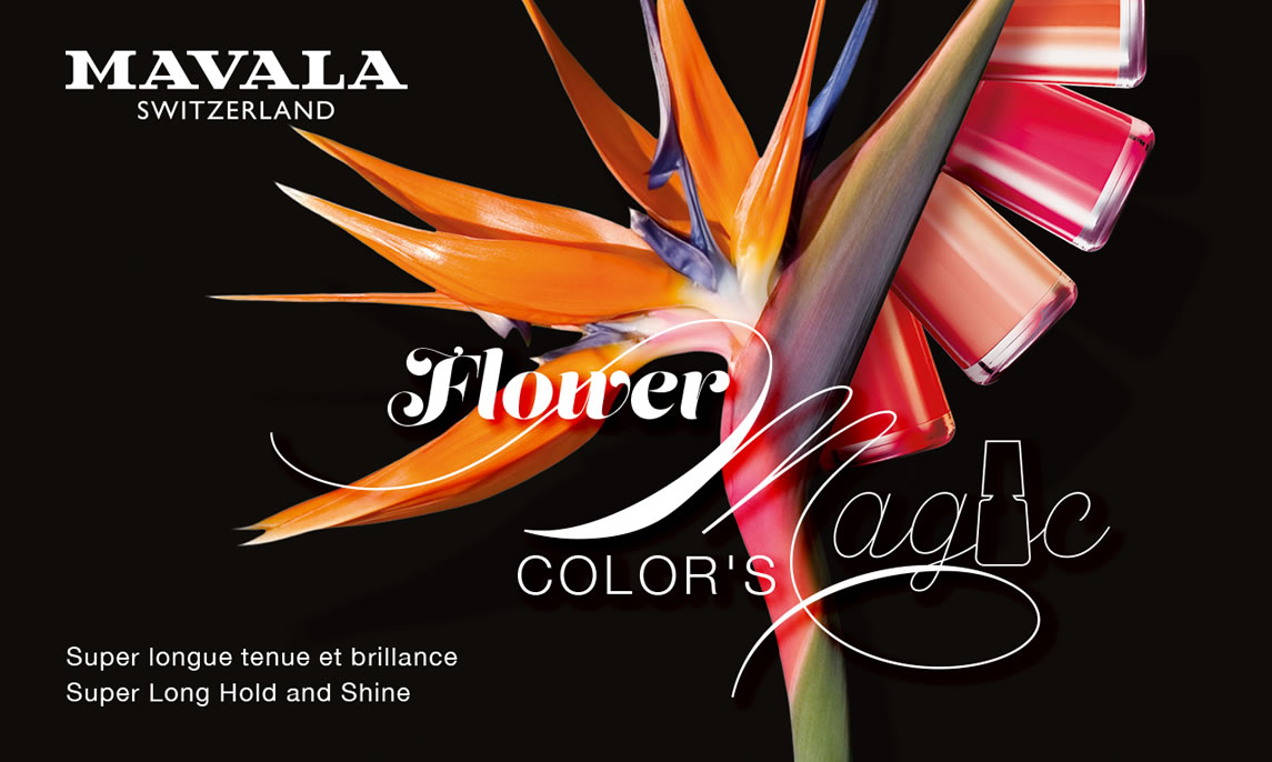 Flower Magic Color's — FLOWER MAGIC Color's¡deja que la magia de los colores y las flores intervenga!