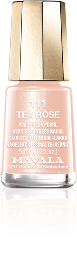 Tea Rose — A rose, delicately highlighted with gold dust 