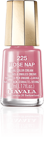 Rose Nap — An antique rose, sweet energizing siesta 