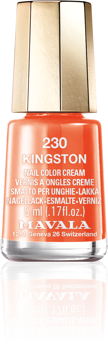 Kingston — Un naranja brillante, un naranjo lleno de luz solar