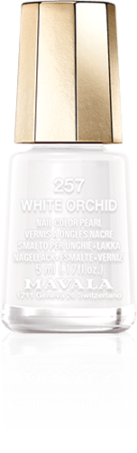 White Orchid — Ein subtiles und reines Weiss